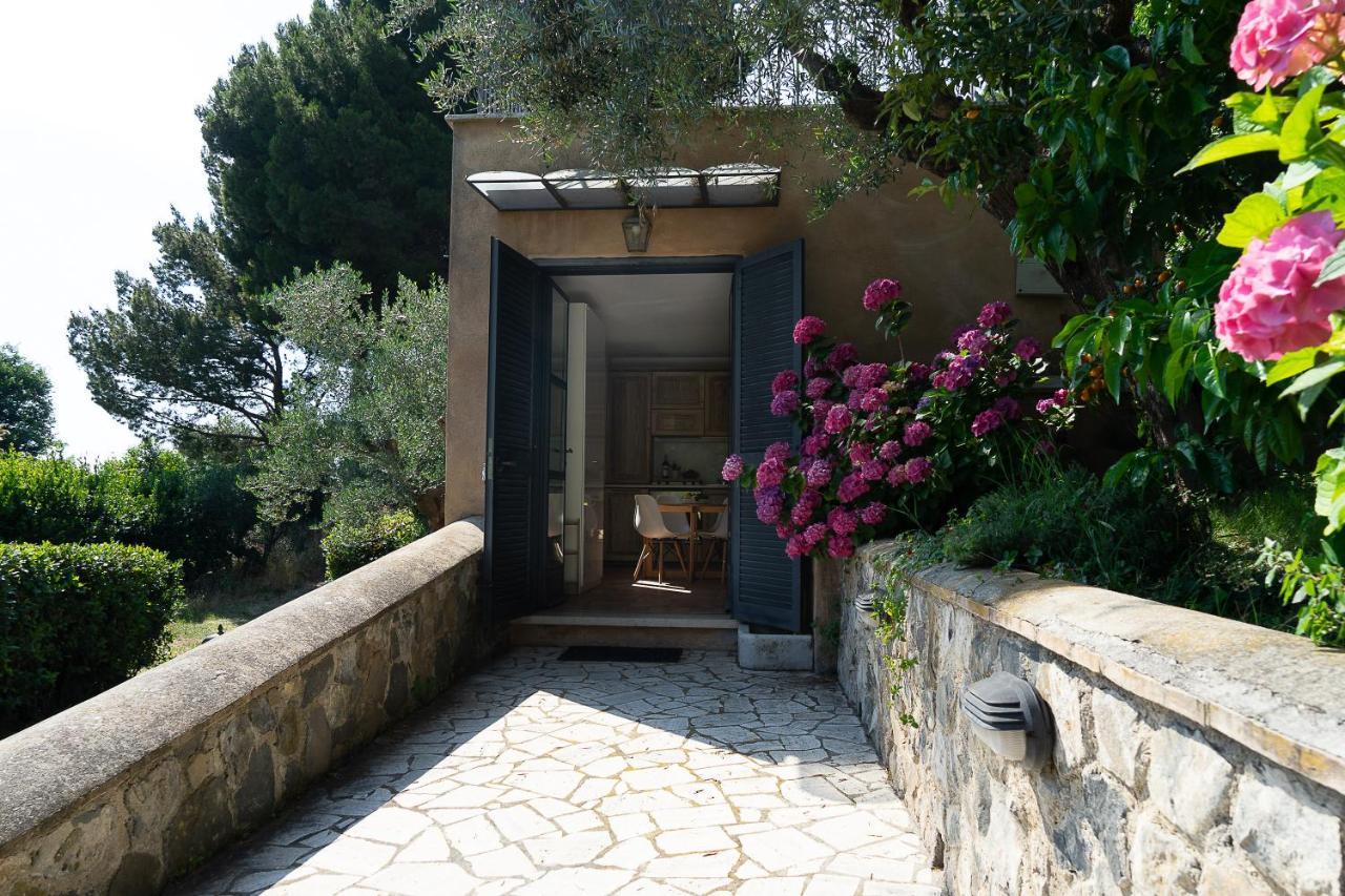 Frascati Country House Ґроттаферрата Екстер'єр фото
